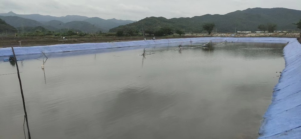 魚(yú)塘護(hù)坡水泥毯